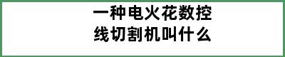 一种电火花数控线切割机叫什么