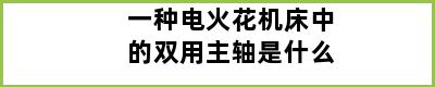 一种电火花机床中的双用主轴是什么