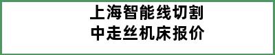 上海智能线切割中走丝机床报价