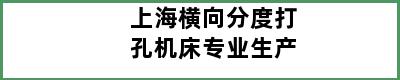 上海横向分度打孔机床专业生产