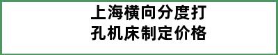 上海横向分度打孔机床制定价格