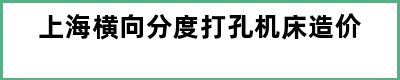 上海横向分度打孔机床造价