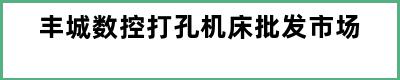 丰城数控打孔机床批发市场