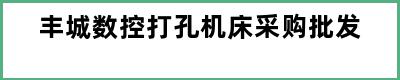 丰城数控打孔机床采购批发