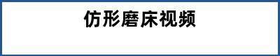 仿形磨床视频