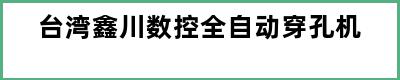 台湾鑫川数控全自动穿孔机