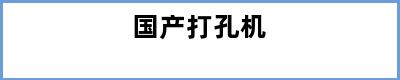 国产打孔机