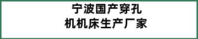 宁波国产穿孔机机床生产厂家