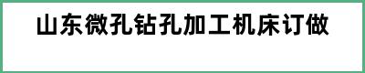 山东微孔钻孔加工机床订做