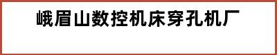 峨眉山数控机床穿孔机厂