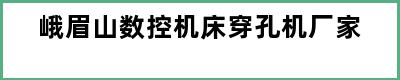 峨眉山数控机床穿孔机厂家