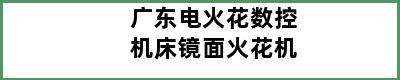 广东电火花数控机床镜面火花机