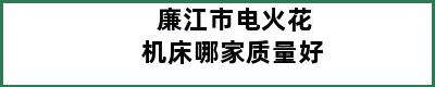 廉江市电火花机床哪家质量好