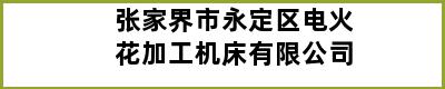 张家界市永定区电火花加工机床有限公司