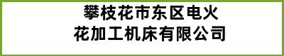 攀枝花市东区电火花加工机床有限公司