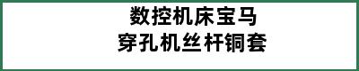 数控机床宝马穿孔机丝杆铜套