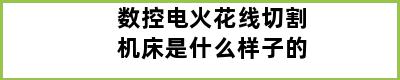 数控电火花线切割机床是什么样子的