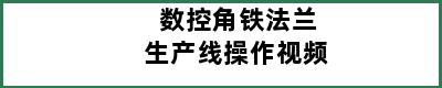 数控角铁法兰生产线操作视频