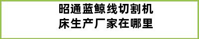 昭通蓝鲸线切割机床生产厂家在哪里