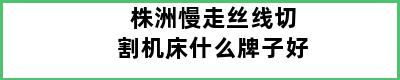 株洲慢走丝线切割机床什么牌子好