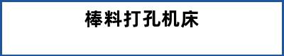 棒料打孔机床