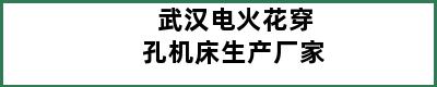 武汉电火花穿孔机床生产厂家