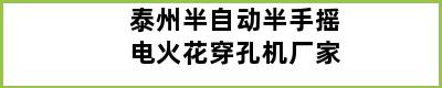 泰州半自动半手摇电火花穿孔机厂家