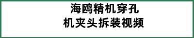 海鸥精机穿孔机夹头拆装视频