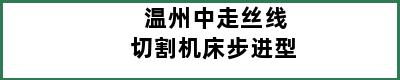 温州中走丝线切割机床步进型