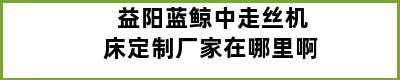 益阳蓝鲸中走丝机床定制厂家在哪里啊