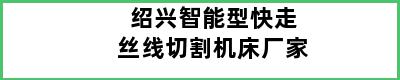 绍兴智能型快走丝线切割机床厂家