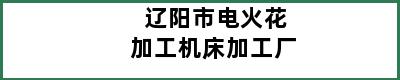 辽阳市电火花加工机床加工厂