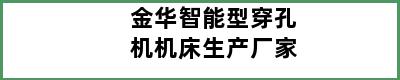 金华智能型穿孔机机床生产厂家