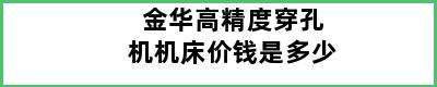 金华高精度穿孔机机床价钱是多少