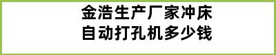 金浩生产厂家冲床自动打孔机多少钱