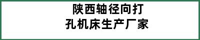 陕西轴径向打孔机床生产厂家