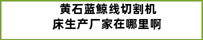 黄石蓝鲸线切割机床生产厂家在哪里啊